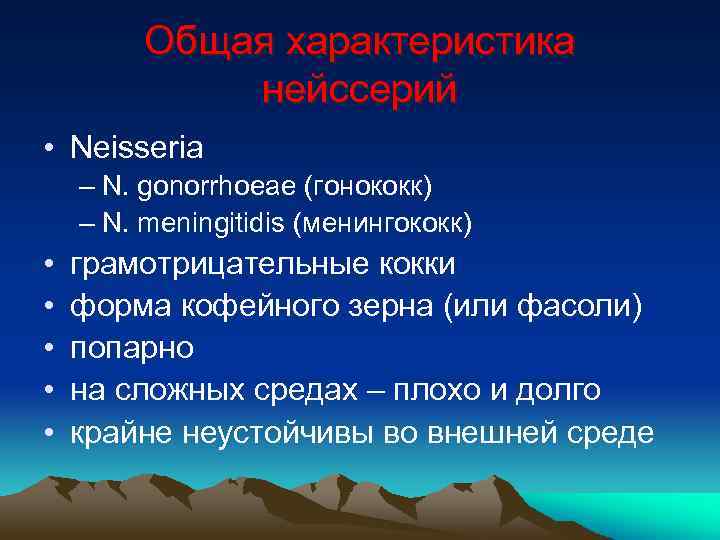 Общая характеристика нейссерий • Neisseria – N. gonorrhoeae (гонококк) – N. meningitidis (менингококк) •