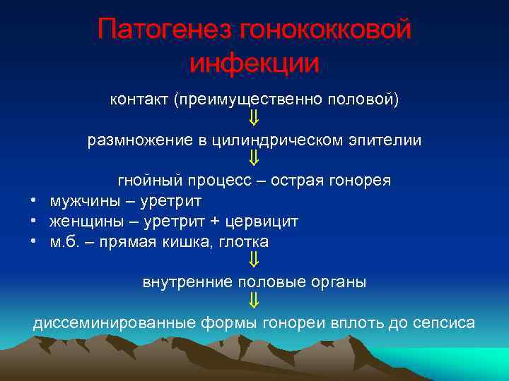 Патогенез гонококковой инфекции контакт (преимущественно половой) размножение в цилиндрическом эпителии гнойный процесс – острая