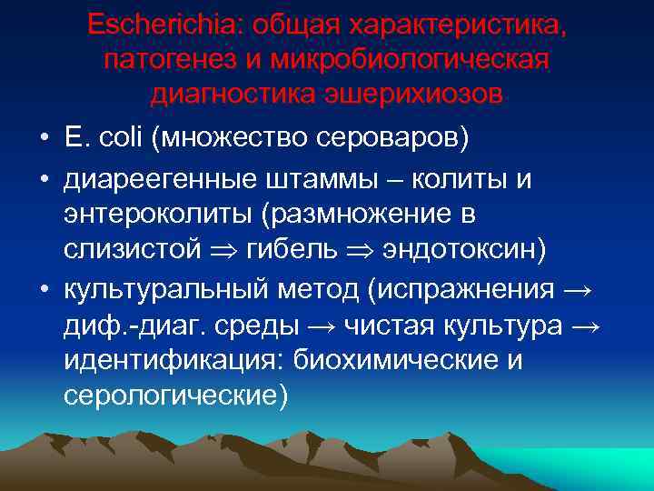 Escherichia: общая характеристика, патогенез и микробиологическая диагностика эшерихиозов • E. coli (множество сероваров) •