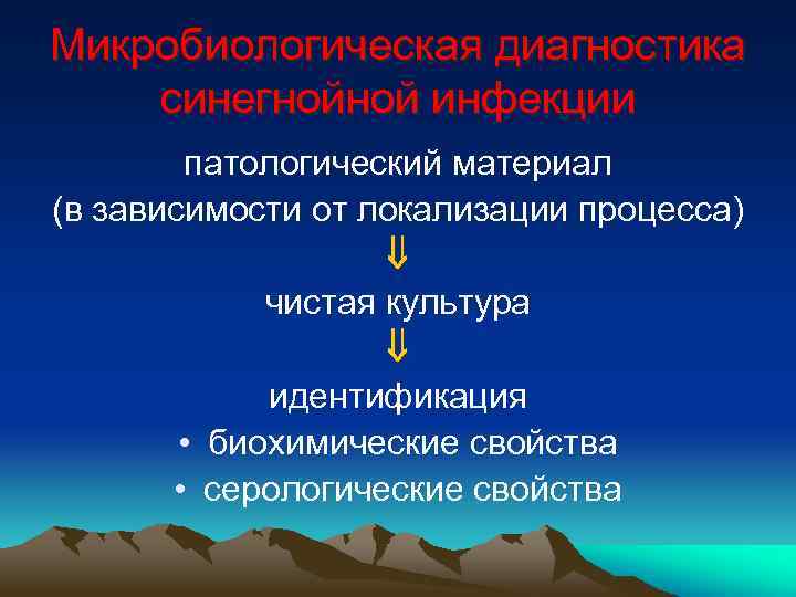 Микробиологическая диагностика синегнойной инфекции патологический материал (в зависимости от локализации процесса) чистая культура идентификация