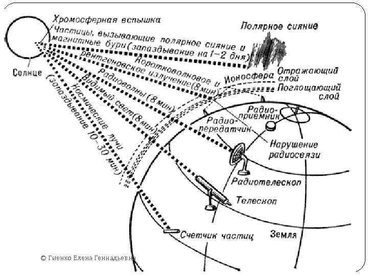 © Гиенко Елена Геннадьевна 