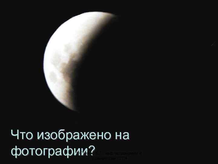 III. Верю – не верю Что изображено на фотографии? © Гиенко Е. Г. ,