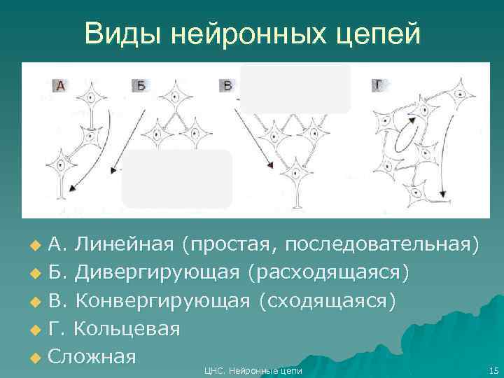 Конвергирующие и дивергирующие стенки