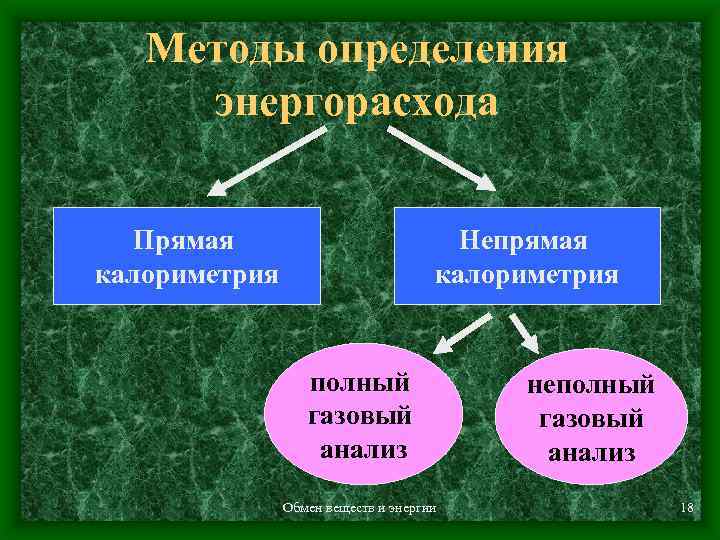 Методы определения энергорасхода Прямая калориметрия Непрямая калориметрия полный газовый анализ Обмен веществ и энергии