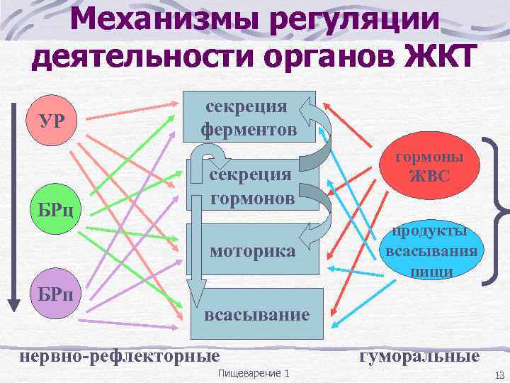 Регуляция деятельности организма. Механизмы регуляции пищеварения. Гуморальная регуляция моторики желудка. Механизм регуляции пищеварительной системы. Регуляция деятельности ЖКТ.