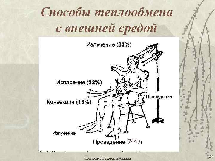 Способы теплообмена с внешней средой (3%) Питание. Терморегуляция 24 