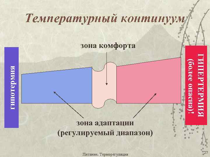 Температурный континуум зона комфорта гипотермия ГИПЕРТЕРМИЯ (более опасна)! зона адаптации (регулируемый диапазон) Питание. Терморегуляция
