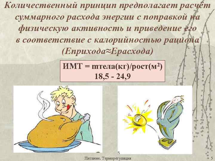 Количественный принцип предполагает расчёт суммарного расхода энергии с поправкой на физическую активность и приведение