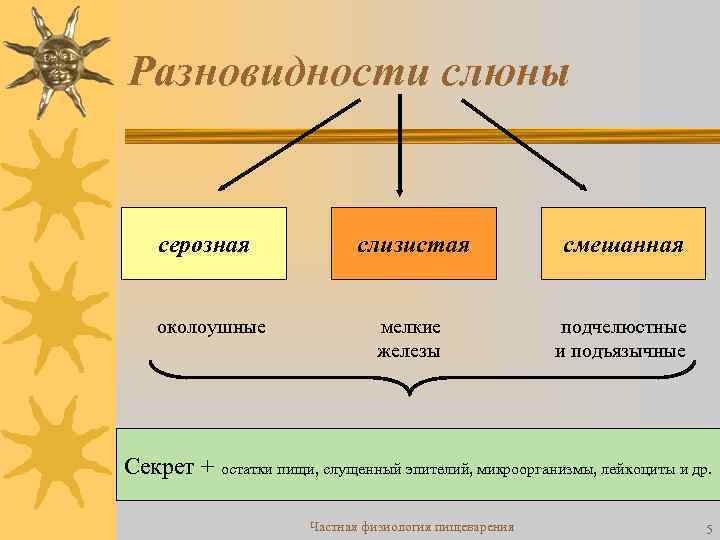 Разновидности слюны серозная околоушные слизистая смешанная мелкие железы подчелюстные и подъязычные Секрет + остатки