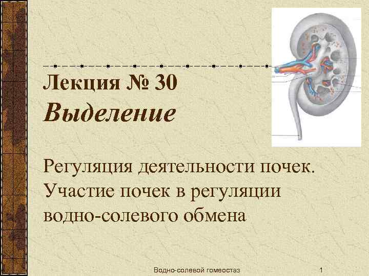 Лекция № 30 Выделение Регуляция деятельности почек. Участие почек в регуляции водно-солевого обмена Водно-солевой