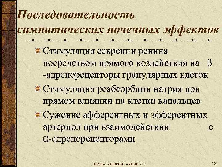 Последовательность симпатических почечных эффектов Стимуляция секреции ренина посредством прямого воздействия на β -адренорецепторы гранулярных