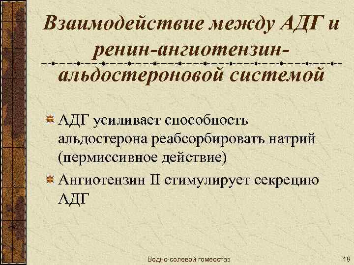 Взаимодействие между АДГ и ренин-ангиотензинальдостероновой системой АДГ усиливает способность альдостерона реабсорбировать натрий (пермиссивное действие)