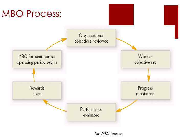 MBO Process: 