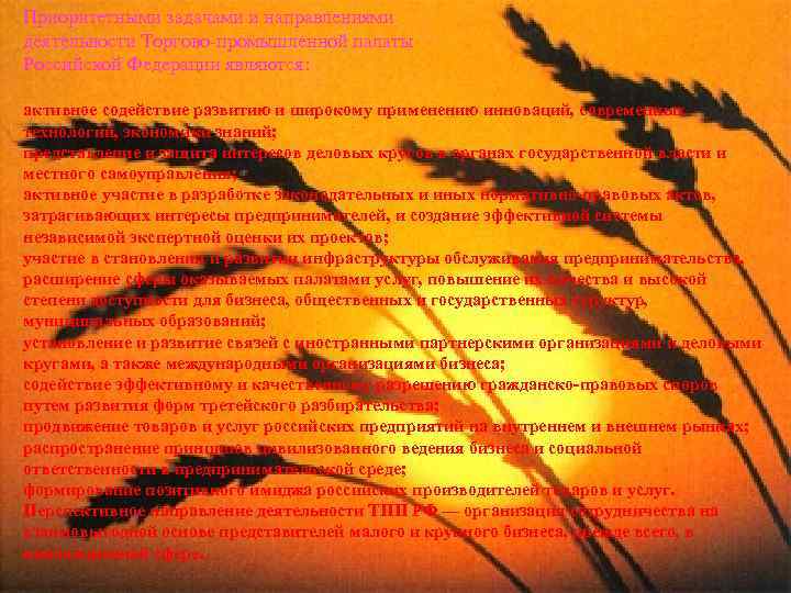 Приоритетными задачами и направлениями деятельности Торгово-промышленной палаты Российской Федерации являются: активное содействие развитию и