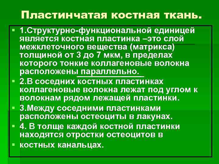 Пластинчатая костная ткань. § 1. Структурно-функциональной единицей является костная пластинка –это слой межклеточного вещества