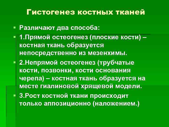 Гистогенез клеток костной ткани схема