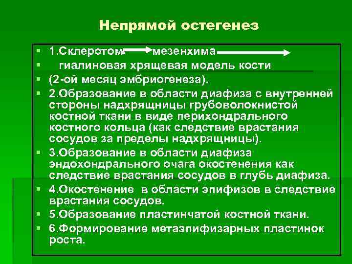 Непрямой остегенез § 1. Склеротом мезенхима § гиалиновая хрящевая модель кости § (2 -ой