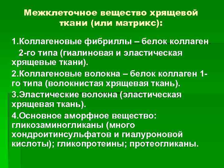 Межклеточное вещество хрящевой ткани (или матрикс): 1. Коллагеновые фибриллы – белок коллаген 2 -го