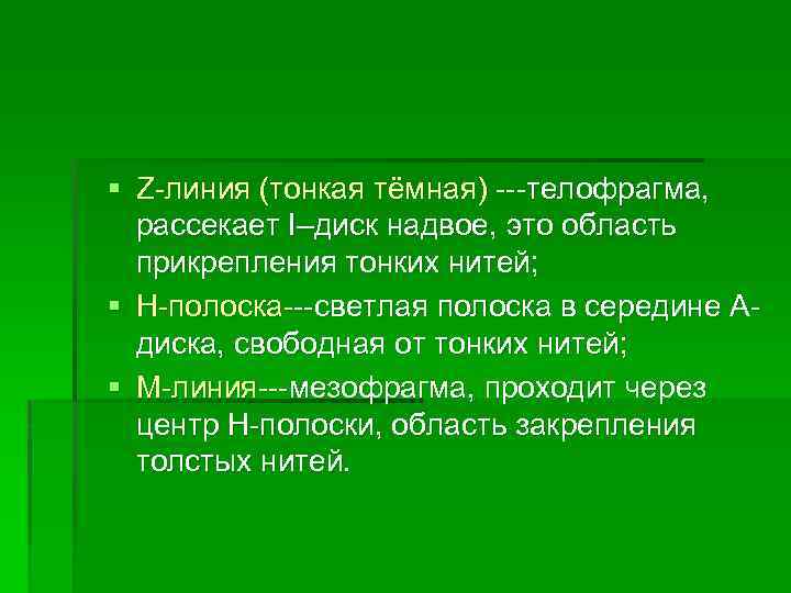 § Z-линия (тонкая тёмная) ---телофрагма, рассекает I–диск надвое, это область прикрепления тонких нитей; §