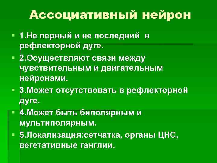 Ассоциативный нейрон § 1. Не первый и не последний в рефлекторной дуге. § 2.