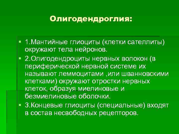 Олигодендроглия: § 1. Мантийные глиоциты (клетки сателлиты) окружают тела нейронов. § 2. Олигодендроциты нервных