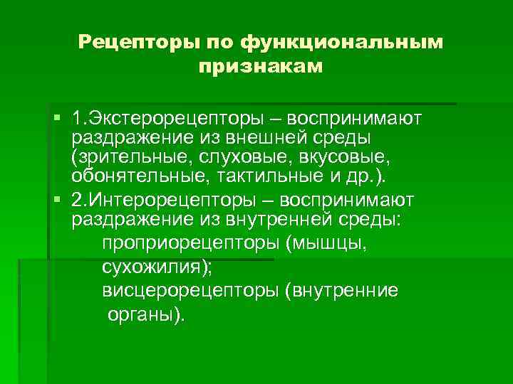 Рецепторы по функциональным признакам § 1. Экстерорецепторы – воспринимают раздражение из внешней среды (зрительные,