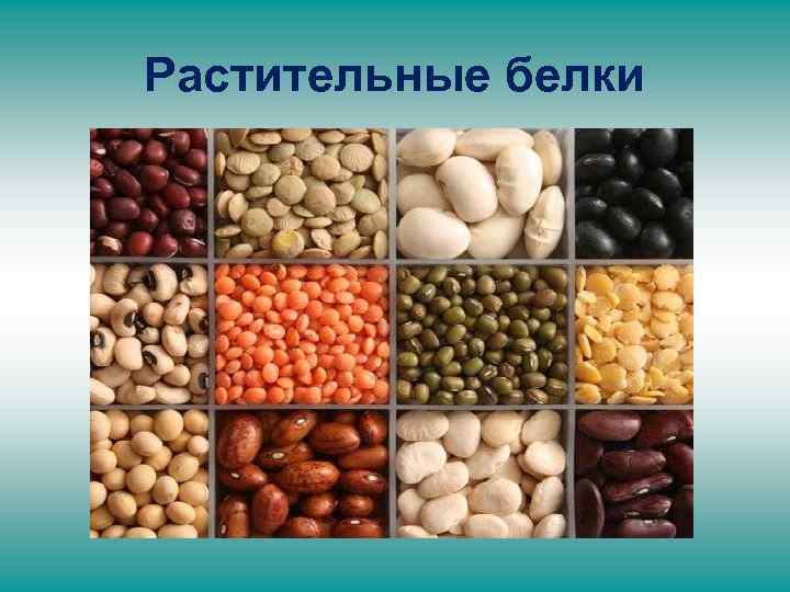 Растительные белки 