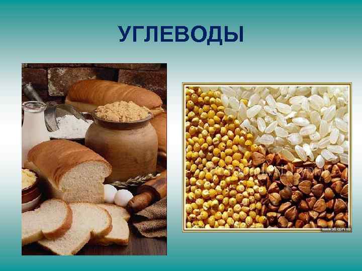 УГЛЕВОДЫ 