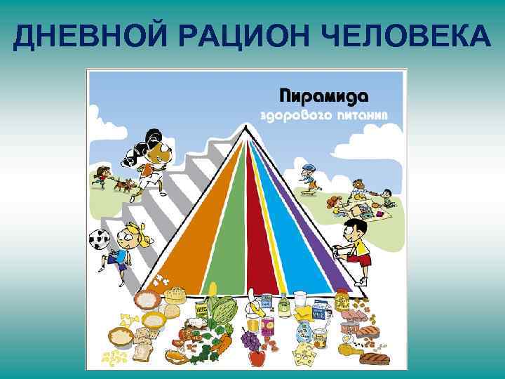 ДНЕВНОЙ РАЦИОН ЧЕЛОВЕКА 