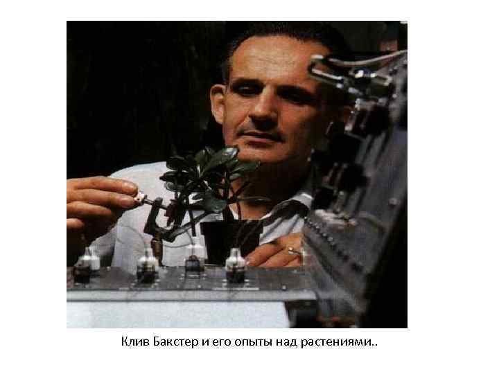 Клив Бакстер и его опыты над растениями. . 