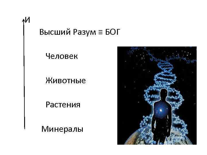 И Высший Разум ≡ БОГ Человек Животные Растения Минералы 