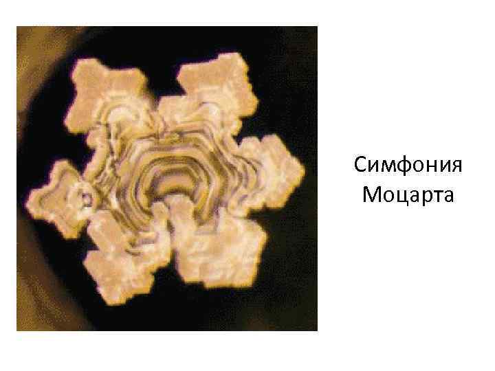 Симфония Моцарта 