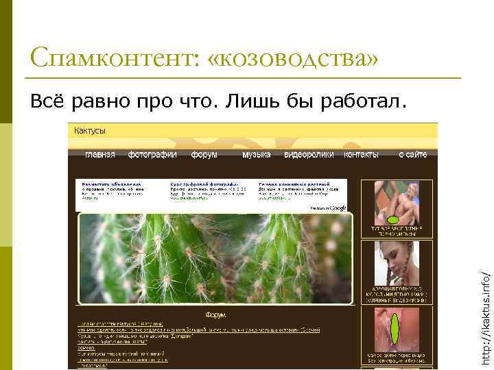 Спамконтент: «козоводства» http: //ikaktus. info/ Всё равно про что. Лишь бы работал. 
