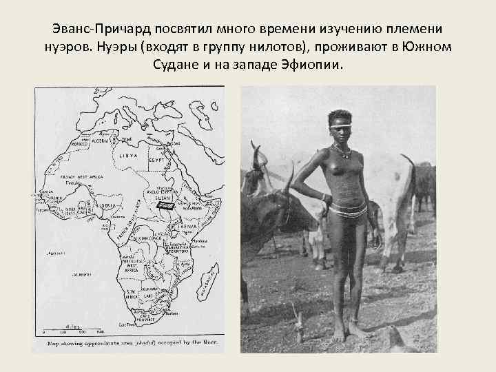 Эванс-Причард посвятил много времени изучению племени нуэров. Нуэры (входят в группу нилотов), проживают в