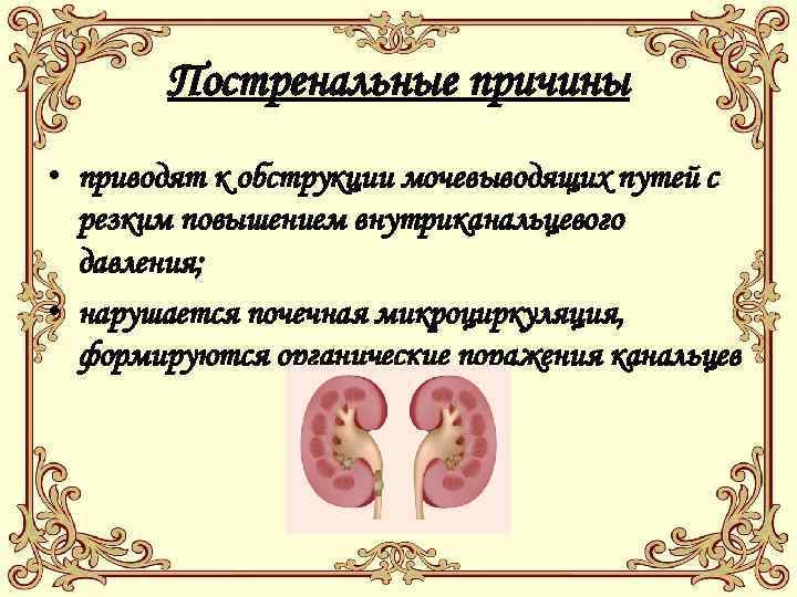 Постренальные причины • приводят к обструкции мочевыводящих путей с резким повышением внутриканальцевого давления; •