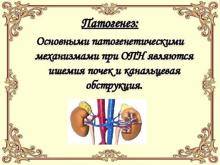 Патогенез: Основными патогенетическими механизмами при ОПН являются ишемия почек и канальцевая обструкция. 