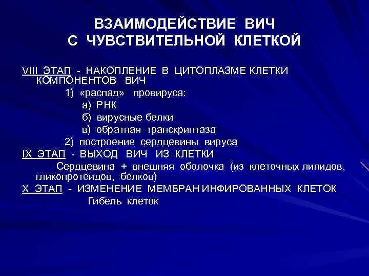 ВЗАИМОДЕЙСТВИЕ ВИЧ С ЧУВСТВИТЕЛЬНОЙ КЛЕТКОЙ VIII ЭТАП - НАКОПЛЕНИЕ В ЦИТОПЛАЗМЕ КЛЕТКИ КОМПОНЕНТОВ ВИЧ