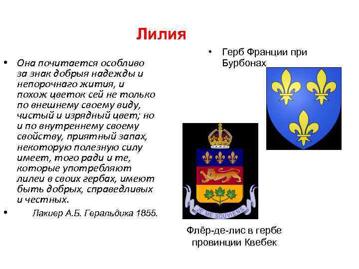 Лилия • Она почитается особливо за знак добрыя надежды и непорочнаго жития, и похож