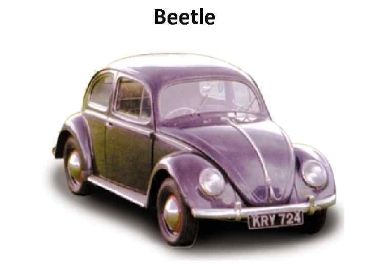 Beetle 