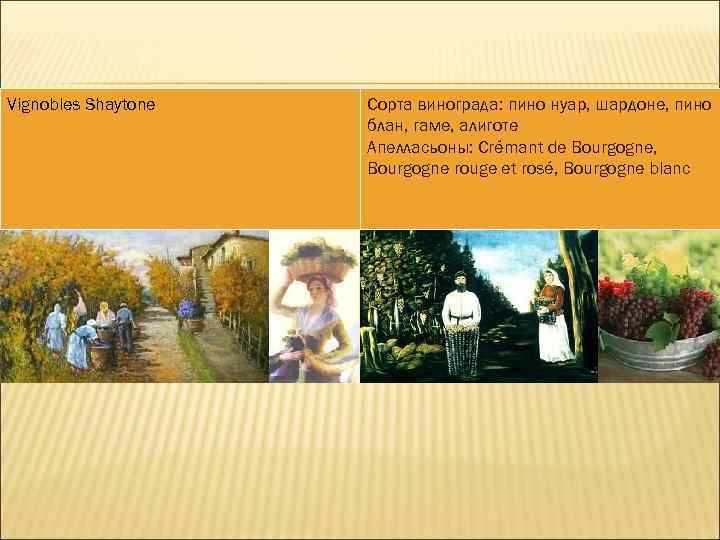 Vignobles Shaytone Сорта винограда: пино нуар, шардоне, пино блан, гаме, алиготе Апелласьоны: Crémant de