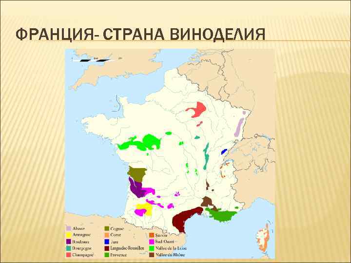 ФРАНЦИЯ- СТРАНА ВИНОДЕЛИЯ 