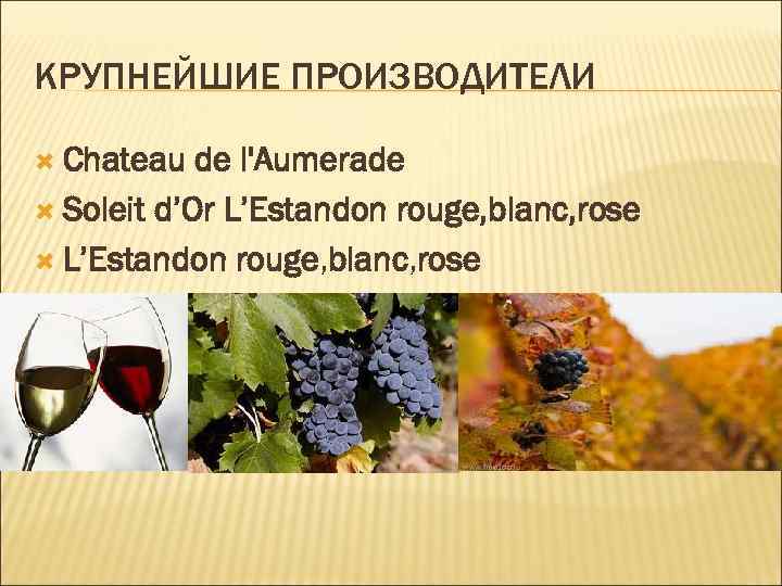 КРУПНЕЙШИЕ ПРОИЗВОДИТЕЛИ Chateau de l'Aumerade Soleit d’Or L’Estandon rouge, blanc, rose 