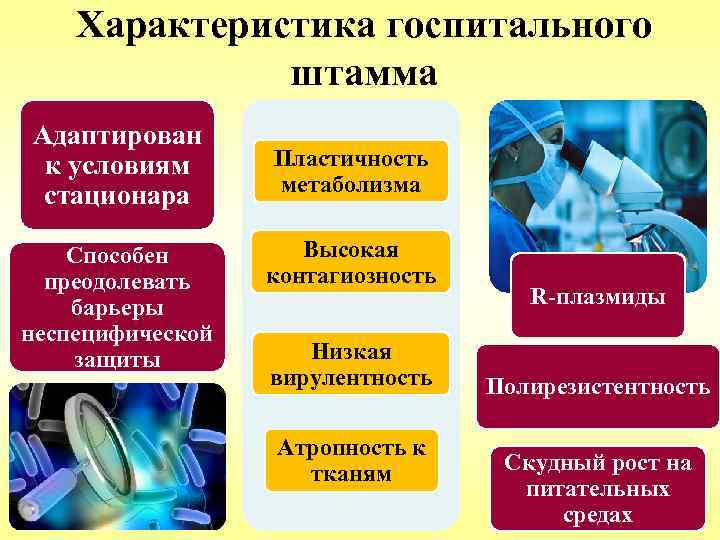 Характеристика госпитального штамма Адаптирован к условиям стационара Способен преодолевать барьеры неспецифической защиты Пластичность метаболизма