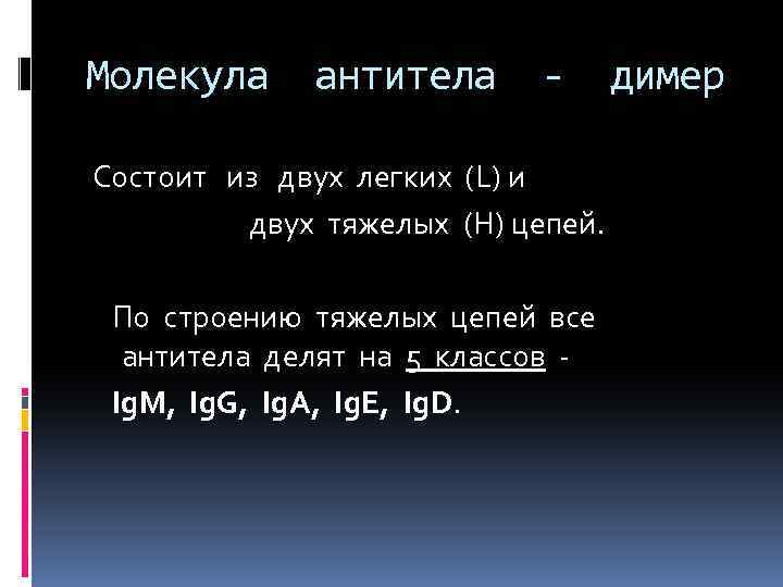 Молекула антитела - Состоит из двух легких (L) и двух тяжелых (H) цепей. По