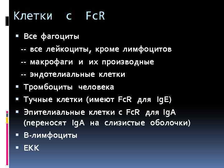 Клетки с Fc. R Все фагоциты -- все лейкоциты, кроме лимфоцитов -- макрофаги и