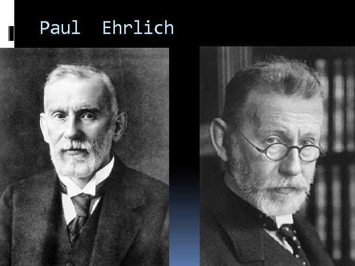 Paul Ehrlich 