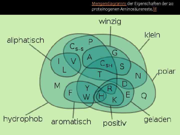 Mengendiagramm der Eigenschaften der 20 proteinogenen Aminosäurereste. [3] 