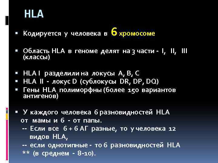 HLA Кодируется у человека в 6 хромосоме Область HLA в геноме делят на 3