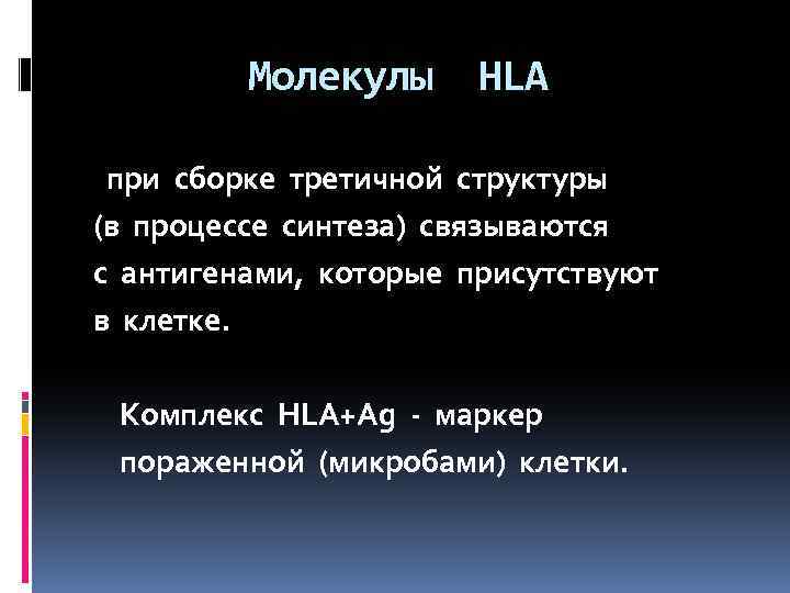 Молекулы HLA при сборке третичной структуры (в процессе синтеза) связываются с антигенами, которые присутствуют