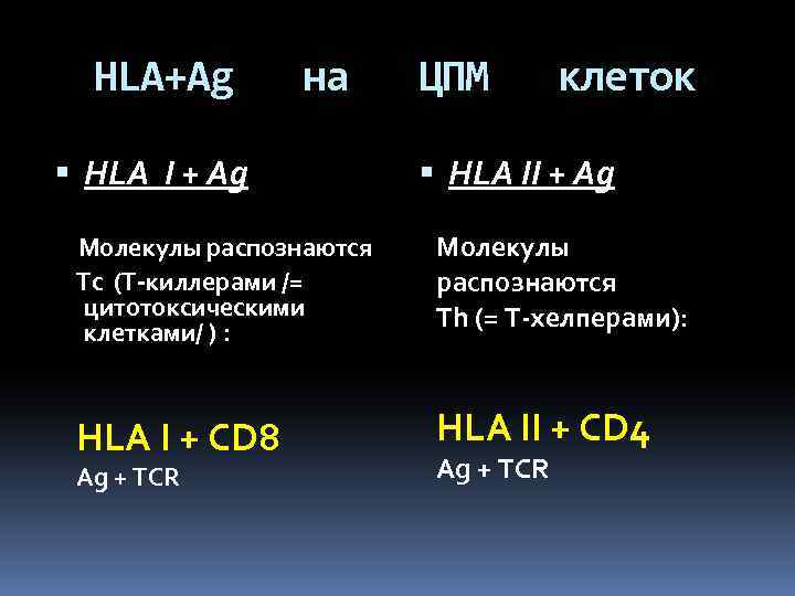 HLA+Ag на HLA I + Ag ЦПМ клеток HLA II + Ag Молекулы распознаются